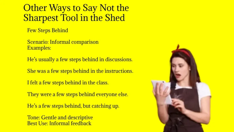Other Ways to Say Not the Sharpest Tool in the Shed