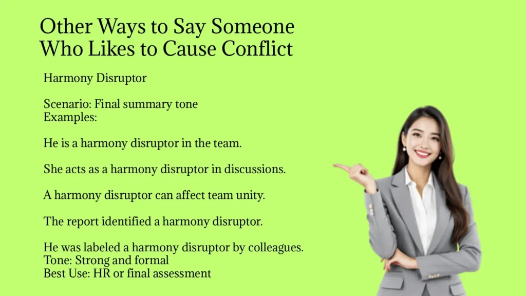 Other Ways to Say Someone Who Likes to Cause Conflict